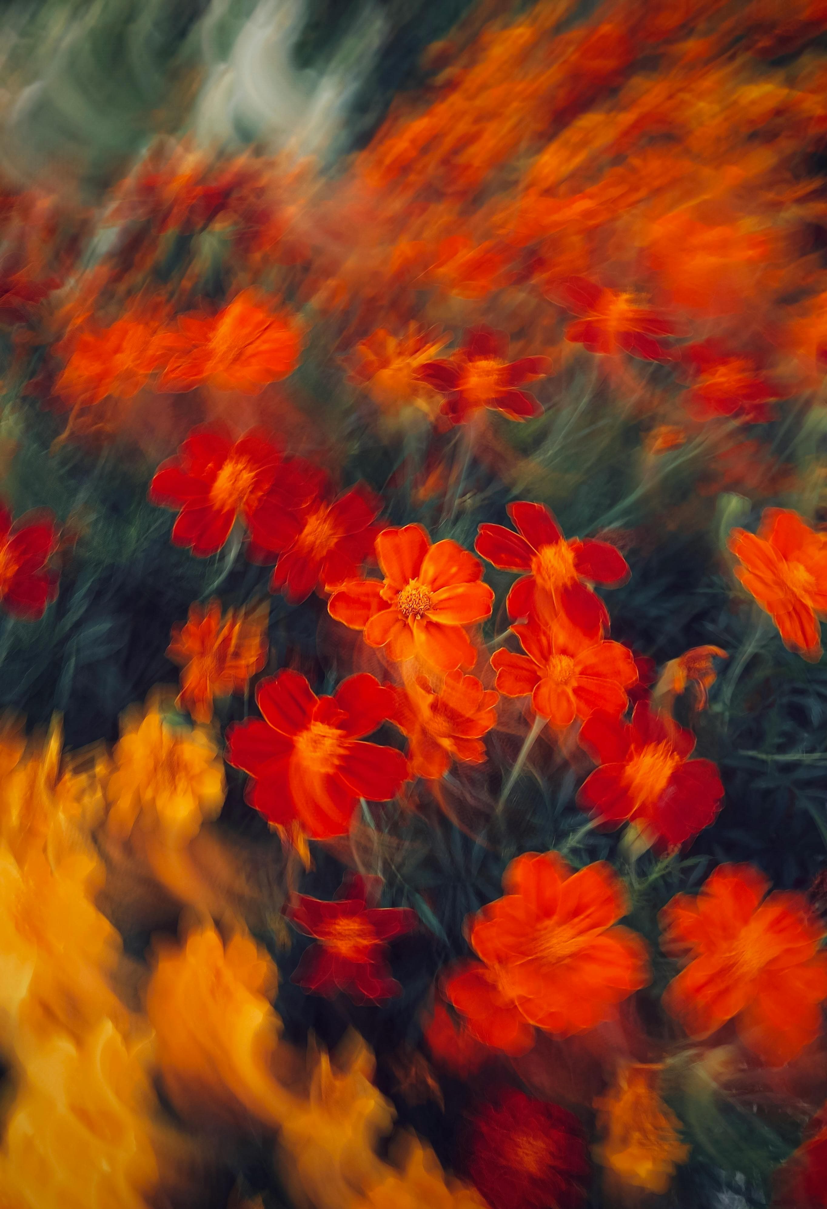 Network infrastructure